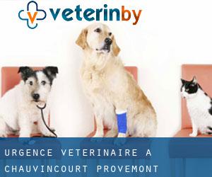 Urgence vétérinaire à Chauvincourt-Provemont