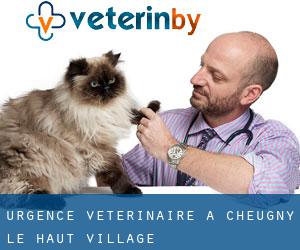 Urgence vétérinaire à Cheugny-le-Haut-Village