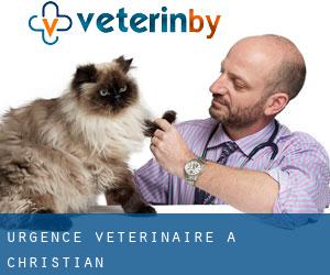 Urgence vétérinaire à Christian