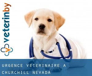Urgence vétérinaire à Churchill (Nevada)