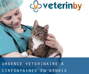 Urgence vétérinaire à Cirfontaines-en-Ornois
