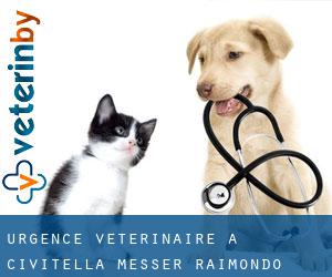 Urgence vétérinaire à Civitella Messer Raimondo