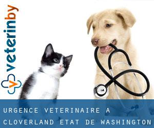 Urgence vétérinaire à Cloverland (État de Washington)