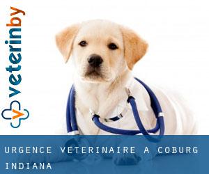 Urgence vétérinaire à Coburg (Indiana)