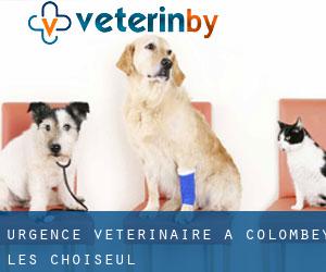 Urgence vétérinaire à Colombey-lès-Choiseul