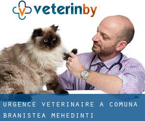 Urgence vétérinaire à Comuna Braniştea (Mehedinţi)