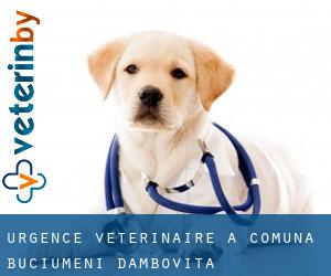 Urgence vétérinaire à Comuna Buciumeni (Dâmboviţa)