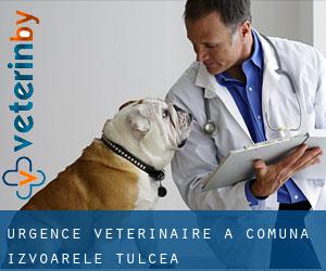 Urgence vétérinaire à Comuna Izvoarele (Tulcea)