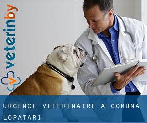 Urgence vétérinaire à Comuna Lopătari