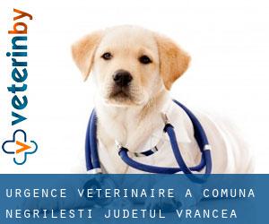 Urgence vétérinaire à Comuna Negrileşti (Judeţul Vrancea)