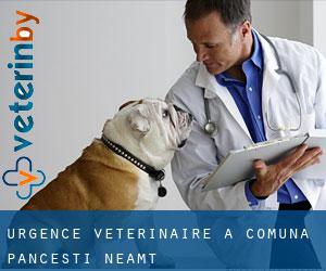Urgence vétérinaire à Comuna Pânceşti (Neamţ)