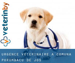 Urgence vétérinaire à Comuna Porumbacu de Jos