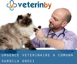 Urgence vétérinaire à Comuna Surdila-Greci