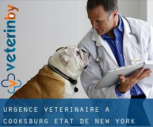 Urgence vétérinaire à Cooksburg (État de New York)