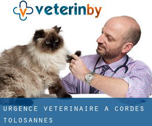 Urgence vétérinaire à Cordes-Tolosannes