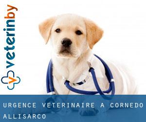 Urgence vétérinaire à Cornedo all'Isarco