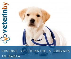 Urgence vétérinaire à Corvara in Badia