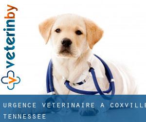 Urgence vétérinaire à Coxville (Tennessee)