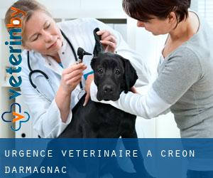 Urgence vétérinaire à Créon-d'Armagnac