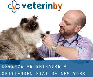 Urgence vétérinaire à Crittenden (État de New York)