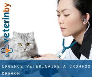 Urgence vétérinaire à Crowfoot (Oregon)