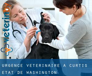 Urgence vétérinaire à Curtis (État de Washington)