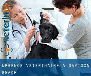 Urgence vétérinaire à Davison Beach