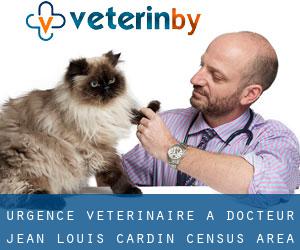 Urgence vétérinaire à Docteur-Jean-Louis-Cardin (census area)
