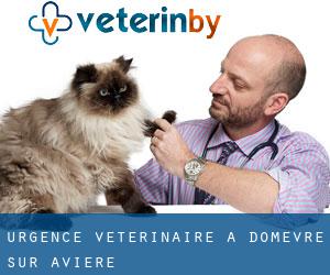 Urgence vétérinaire à Domèvre-sur-Avière
