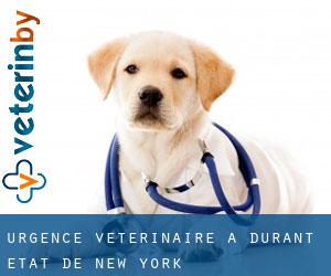 Urgence vétérinaire à Durant (État de New York)