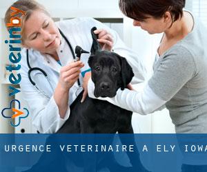 Urgence vétérinaire à Ely (Iowa)