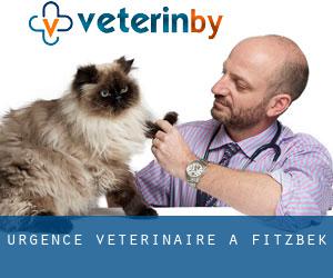 Urgence vétérinaire à Fitzbek