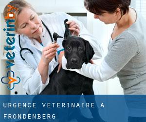 Urgence vétérinaire à Fröndenberg