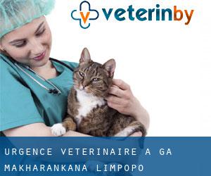 Urgence vétérinaire à Ga-Makharankana (Limpopo)