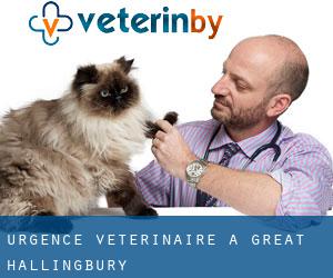 Urgence vétérinaire à Great Hallingbury