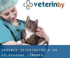 Urgence vétérinaire à Ha-Folovhodwe (Limpopo)