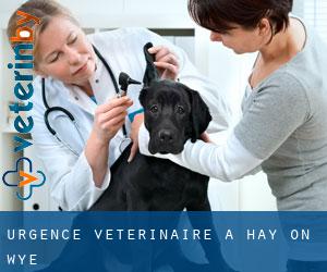 Urgence vétérinaire à Hay-on-wye