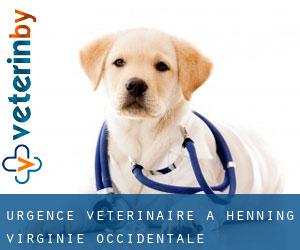 Urgence vétérinaire à Henning (Virginie-Occidentale)