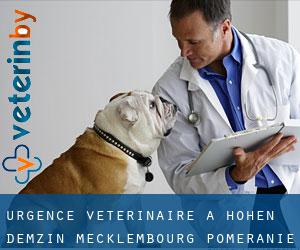 Urgence vétérinaire à Hohen Demzin (Mecklembourg-Poméranie)