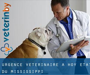 Urgence vétérinaire à Hoy (État du Mississippi)