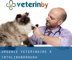 Urgence vétérinaire à Irthlingborough