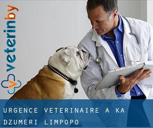 Urgence vétérinaire à Ka-Dzumeri (Limpopo)