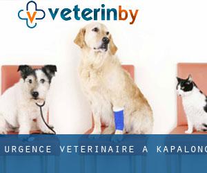 Urgence vétérinaire à Kapalong