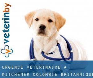 Urgence vétérinaire à Kitchener (Colombie-Britannique)
