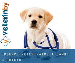 Urgence vétérinaire à Lambs (Michigan)