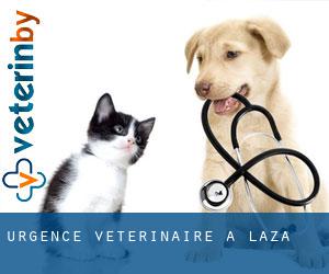 Urgence vétérinaire à Laza