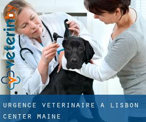 Urgence vétérinaire à Lisbon Center (Maine)