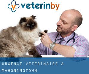 Urgence vétérinaire à Mahoningtown