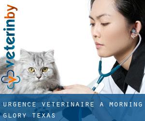 Urgence vétérinaire à Morning Glory (Texas)