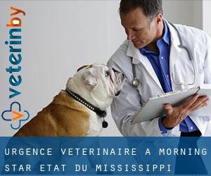 Urgence vétérinaire à Morning Star (État du Mississippi)